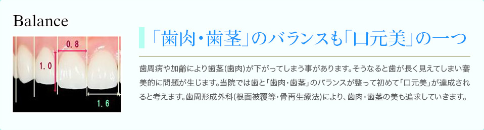 歯肉・歯茎のバランス