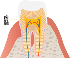 神経